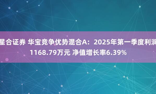 星合证券 华宝竞争优势混合A:2025年第一季度利润1168.79万元 净值增长率6.39%
