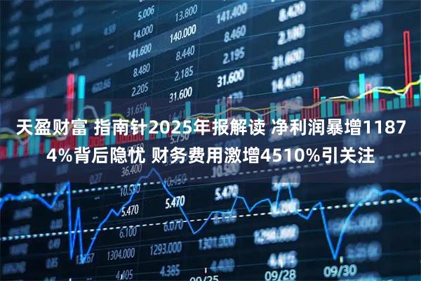 天盈财富 指南针2025年报解读 净利润暴增11874%背后隐忧 财务费用激增4510%引关注