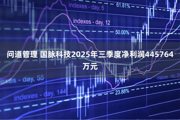 问道管理 国脉科技2025年三季度净利润445764万元