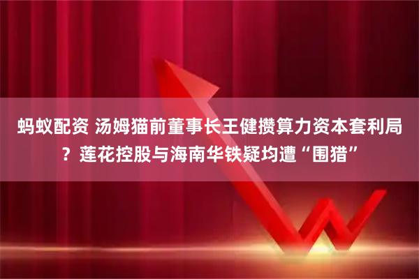 蚂蚁配资 汤姆猫前董事长王健攒算力资本套利局？莲花控股与海南华铁疑均遭“围猎”